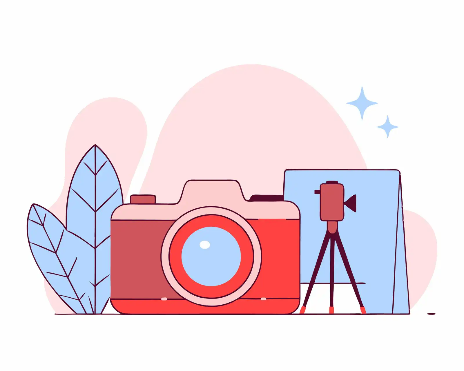 vector image of a camera